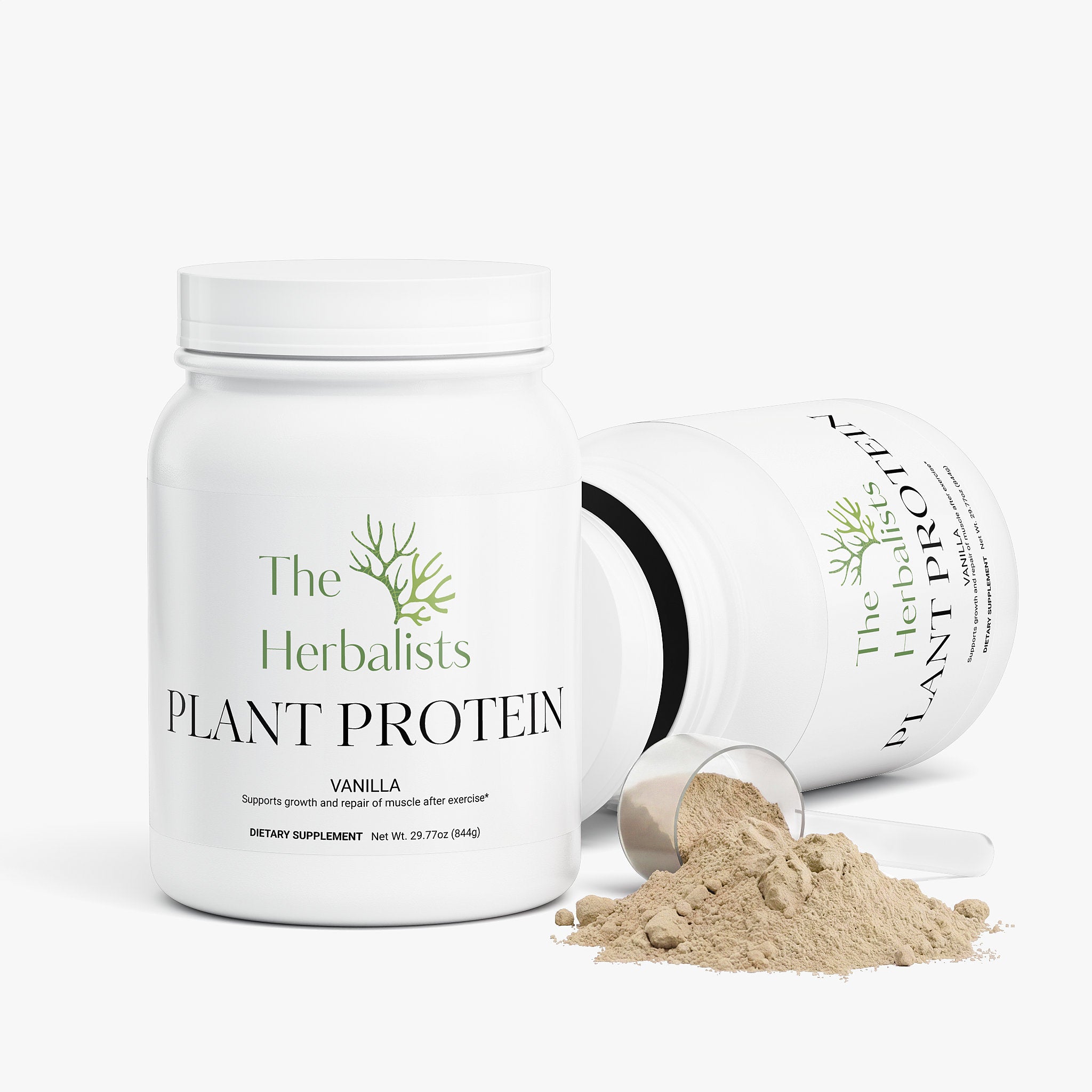 Plant Protein (Vanilla)