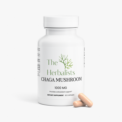 Chaga Mushroom