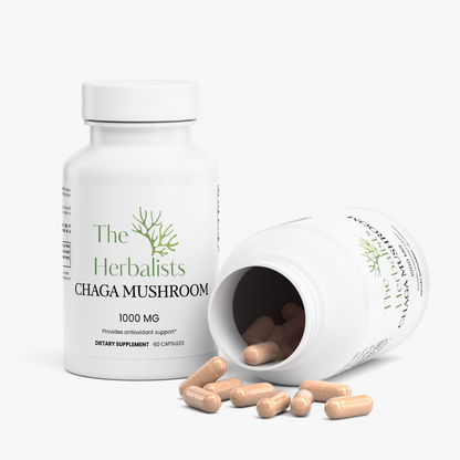 Chaga Mushroom